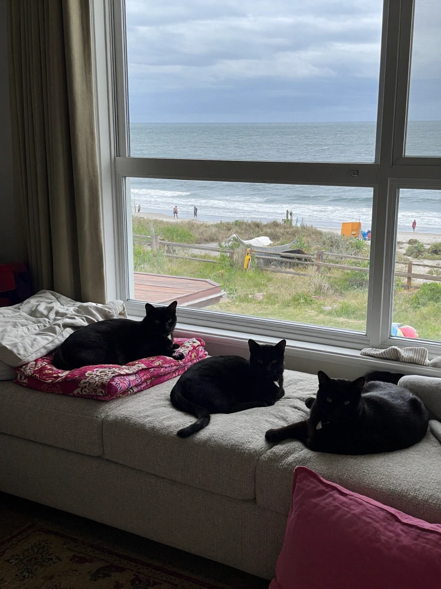 Amateur photo of black cats lounging by a window. Regular oceancore living room. Ocean view with people on the beach.