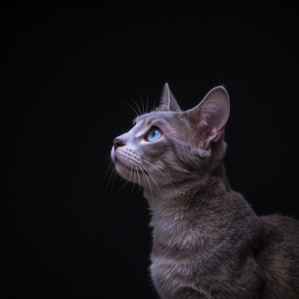 a cat in sharp profile against a dark background, head held high with an almost aristocratic tilt, single beam of cool light catching one eye and the 