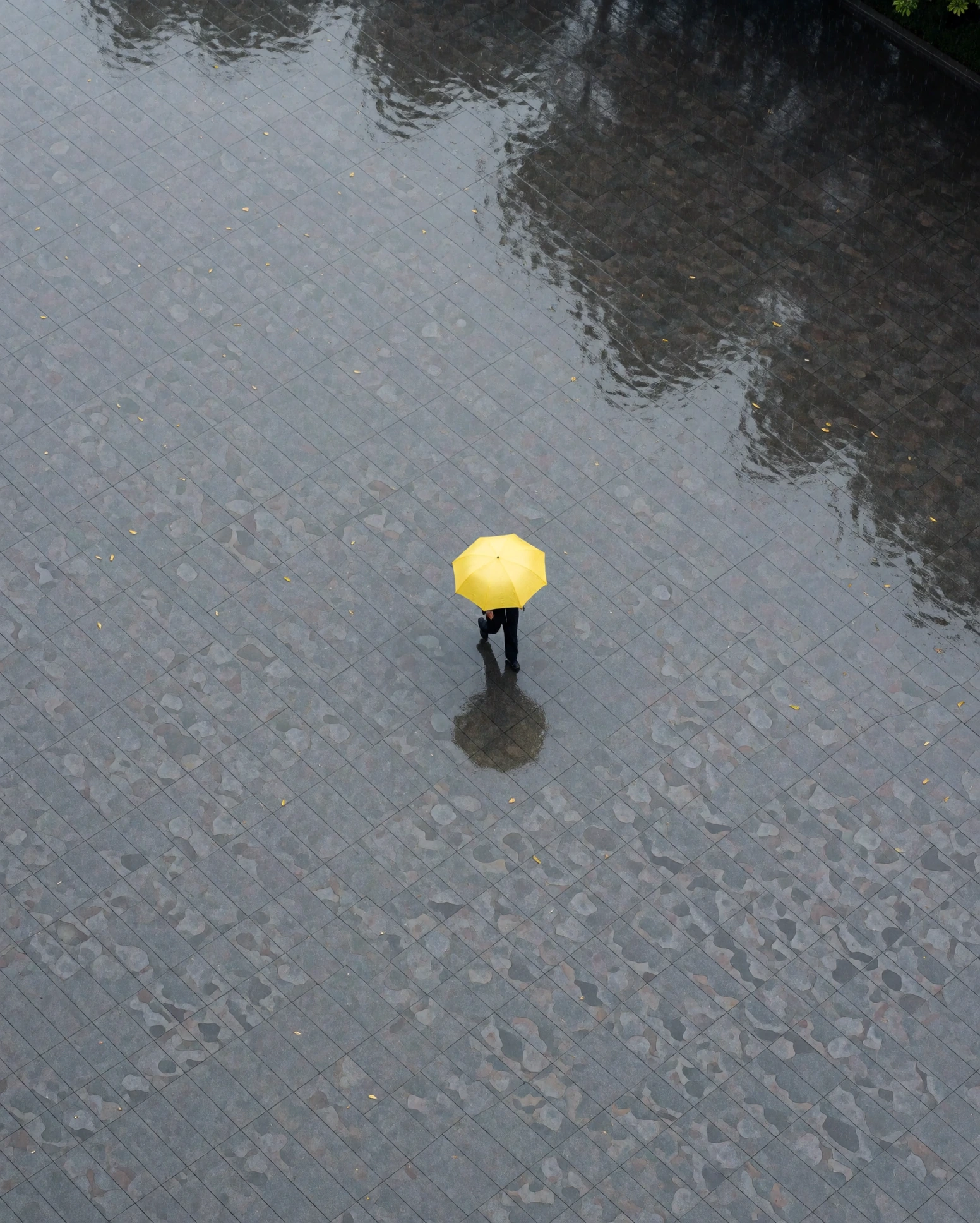 Aerial shot of a wet grey plaza, one yellow umbrella walking across it. Rain reflections. Tiny figure, enormous empty space. Documentary minimalism.