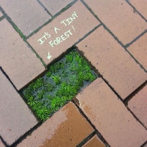 A tiny world for you.