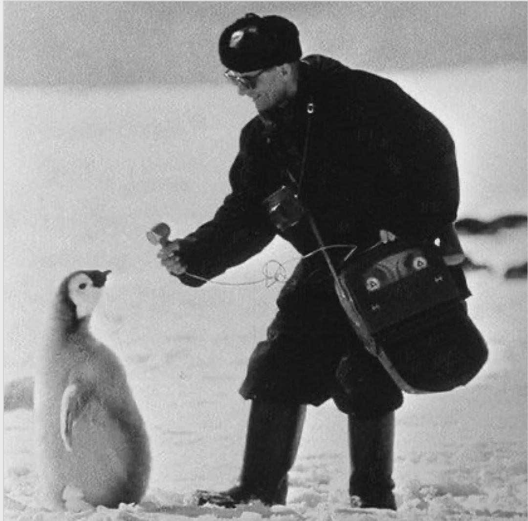 a Moscow journalist interviews a penguin, 1966