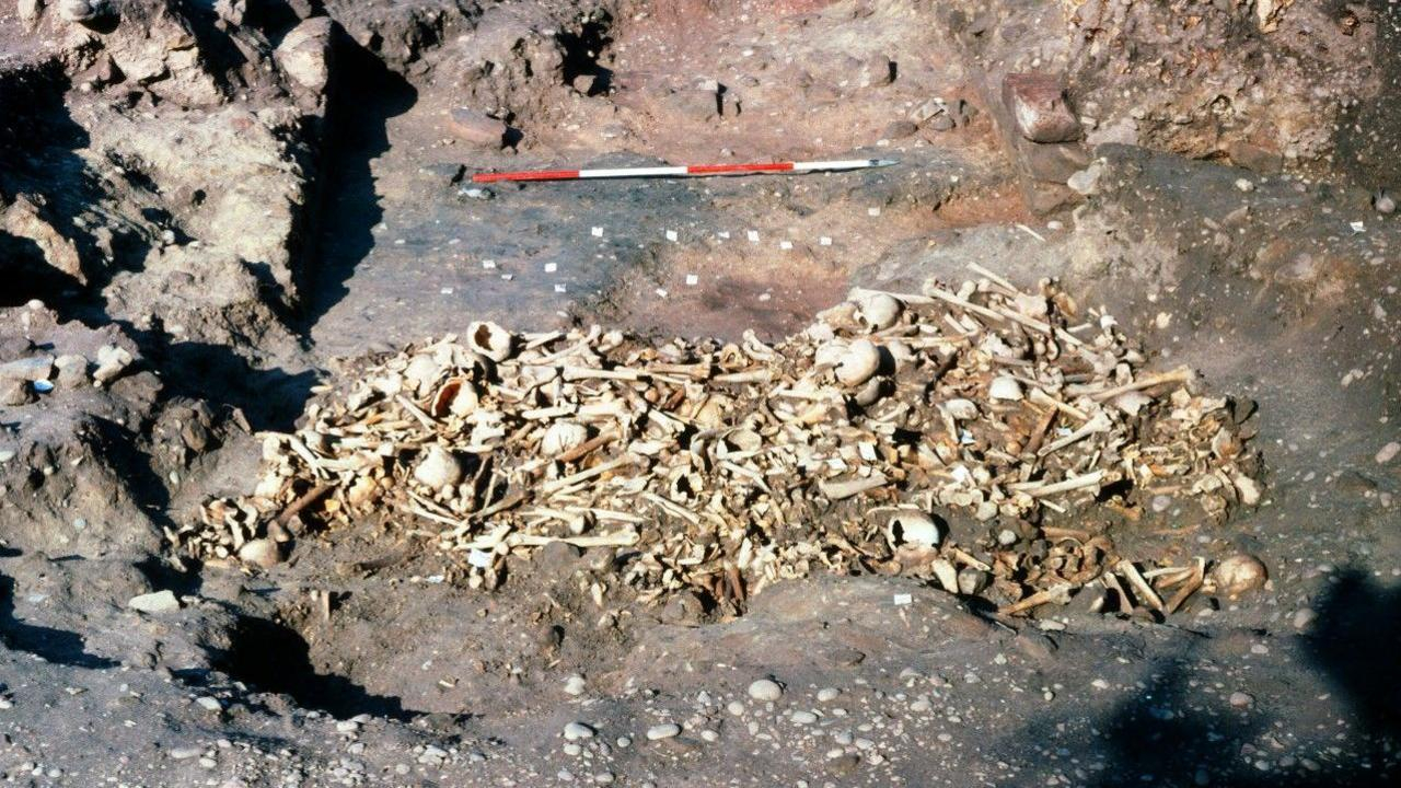 viking Great Heathen Army charnel pit, Repton, Derbyshire, England, photographed 1980. Remains of 26…