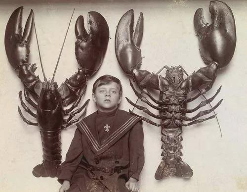a boy between two mounted lobsters caught off the New Jersey…