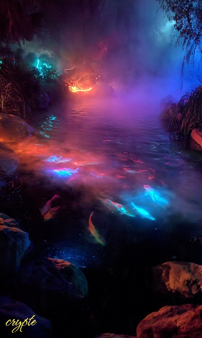 #dailyspark "A neon koi pond at three a.m." By @Mirrorize ✨✨