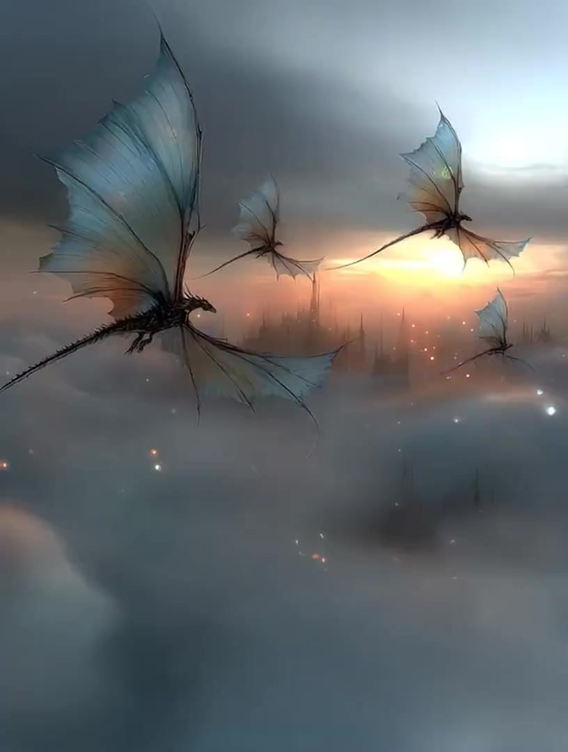 #DragonTuesday