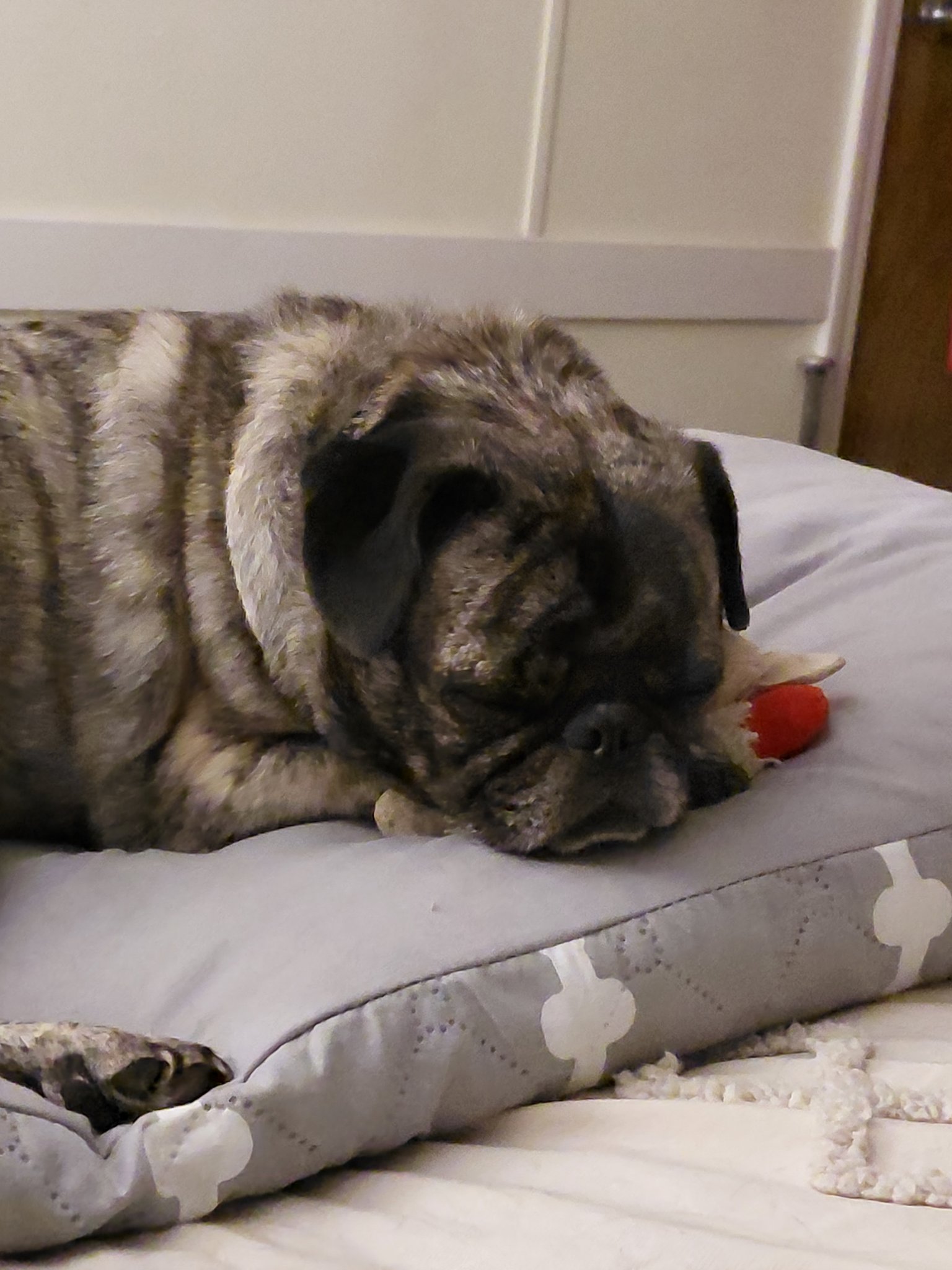 Can I post this? Ahh, I have to - my bestest friend! Frankie says: You're on your own lady! Get your…