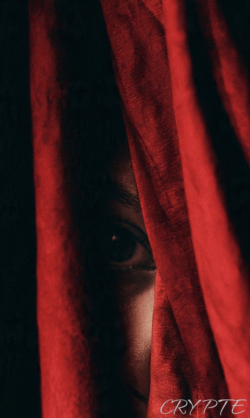 ‘Behind the curtain of buried secrets, the shadow keeps one eye on our depths. Do not try to find ou…