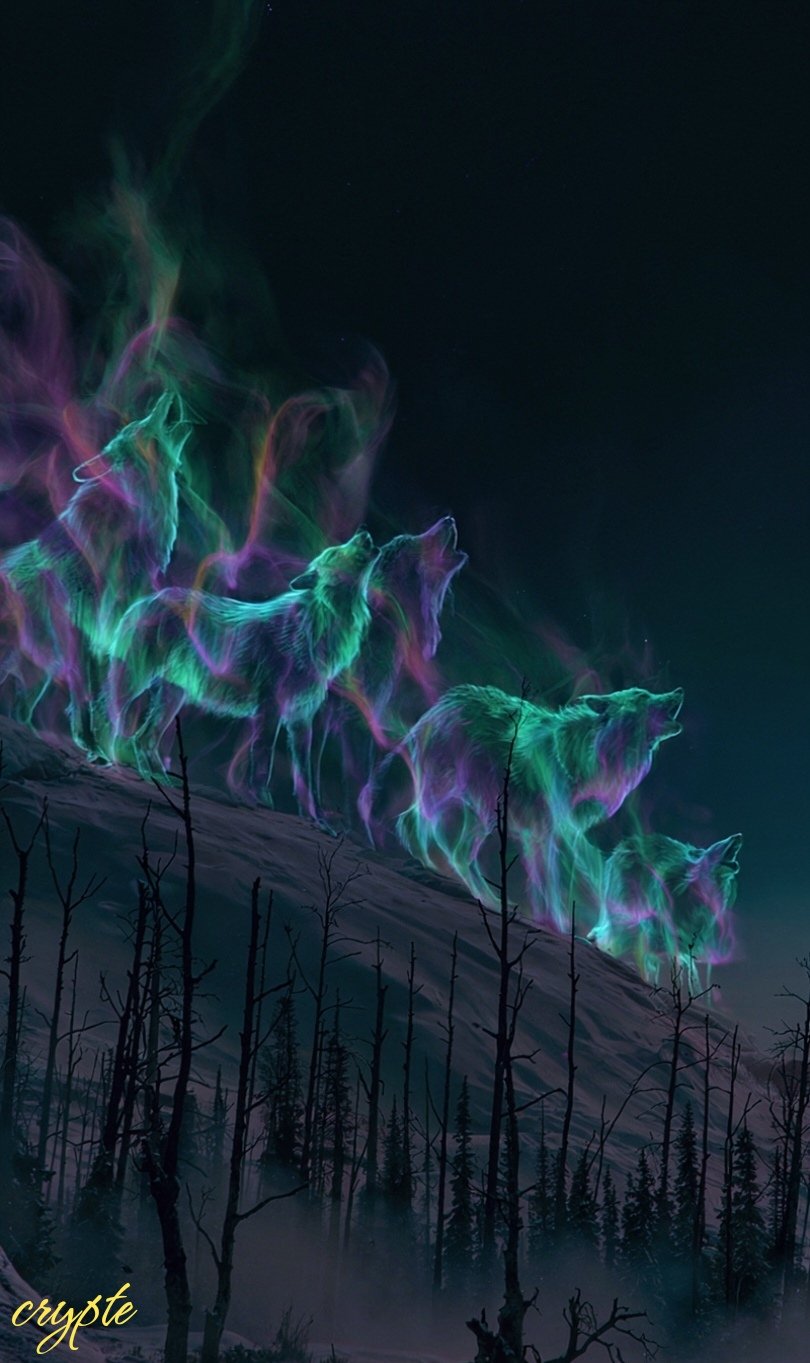 #dailyspark “wolves made of the Northern Lights”✨✨ My dear creative friends, I wish you a wonderful…