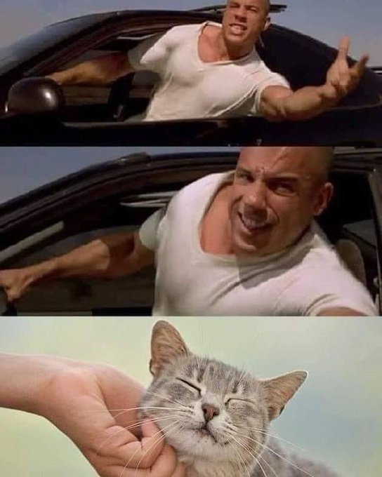GM