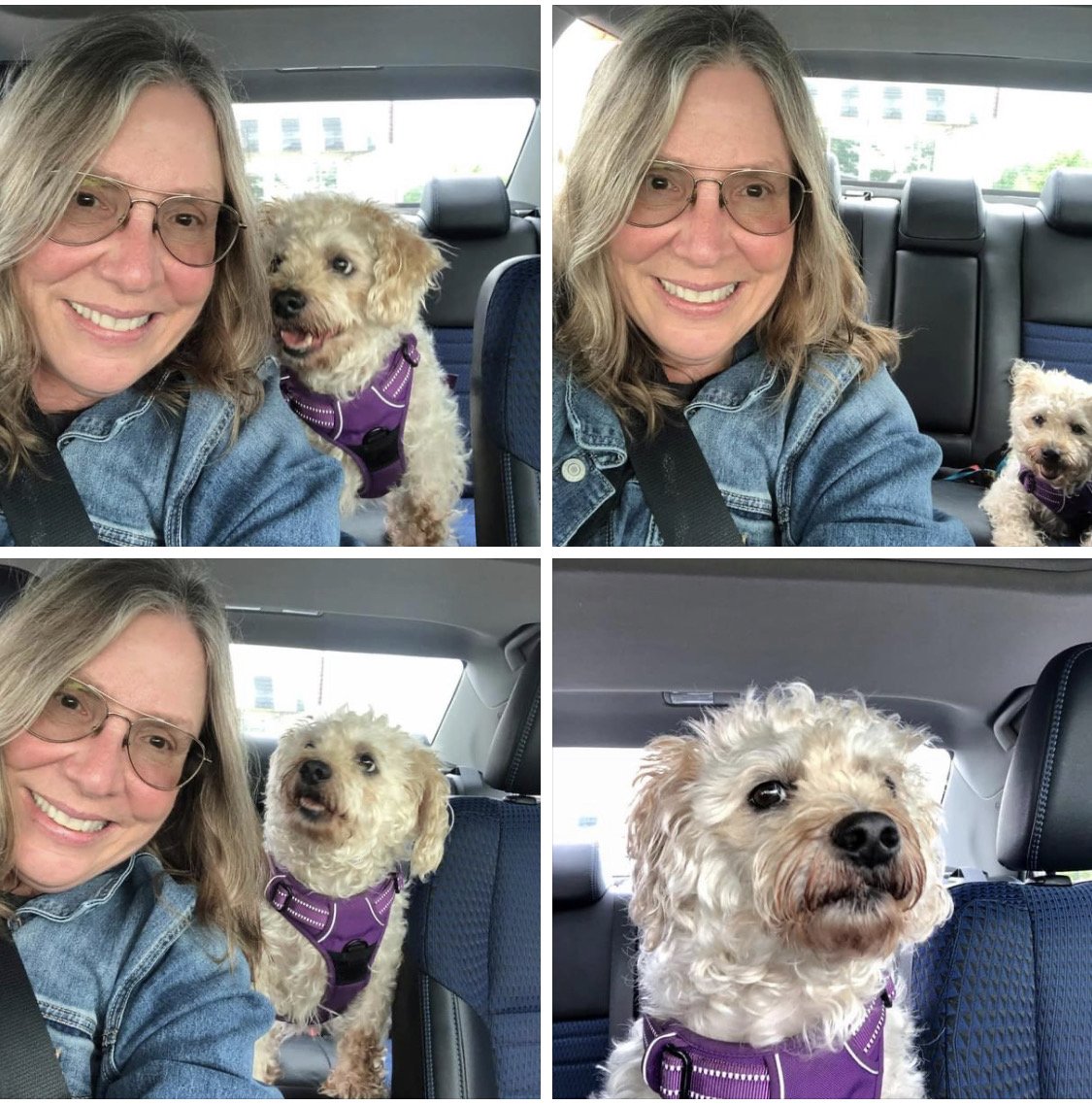 Good morning. ☀️ That’s really me with Chewy a couple years ago. I was trying my best to get a selfi…