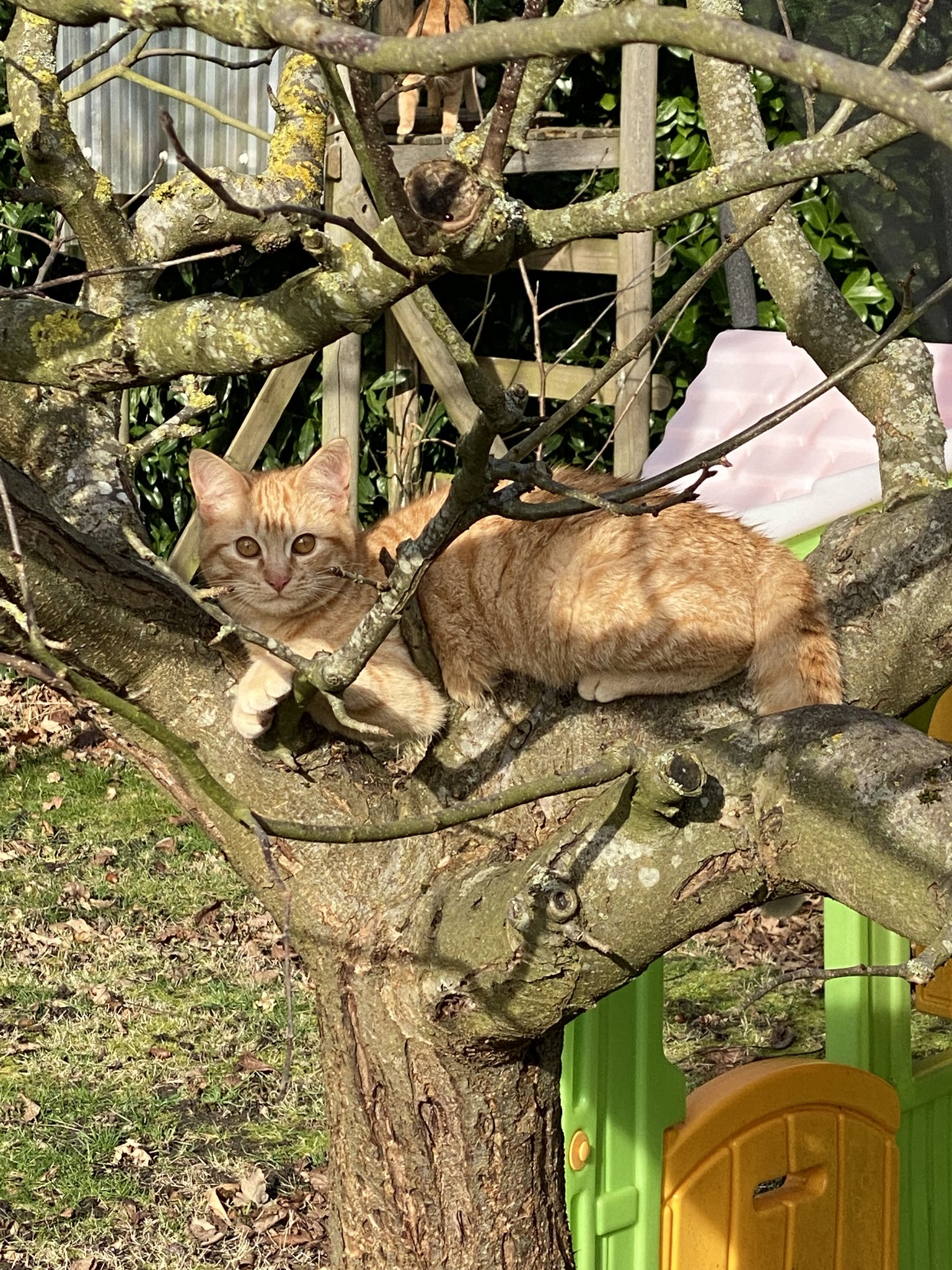 Enjoying some sun