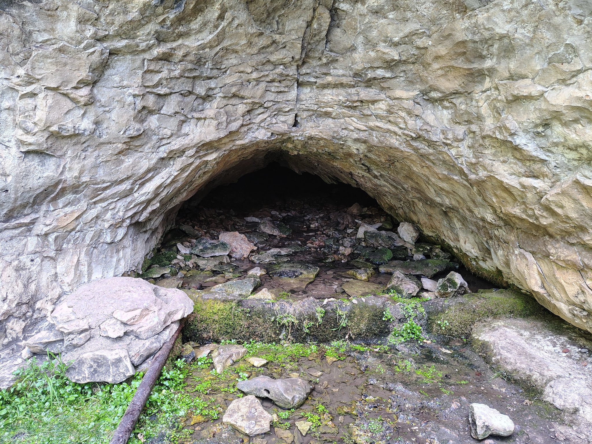 Ansons cave where halo lives