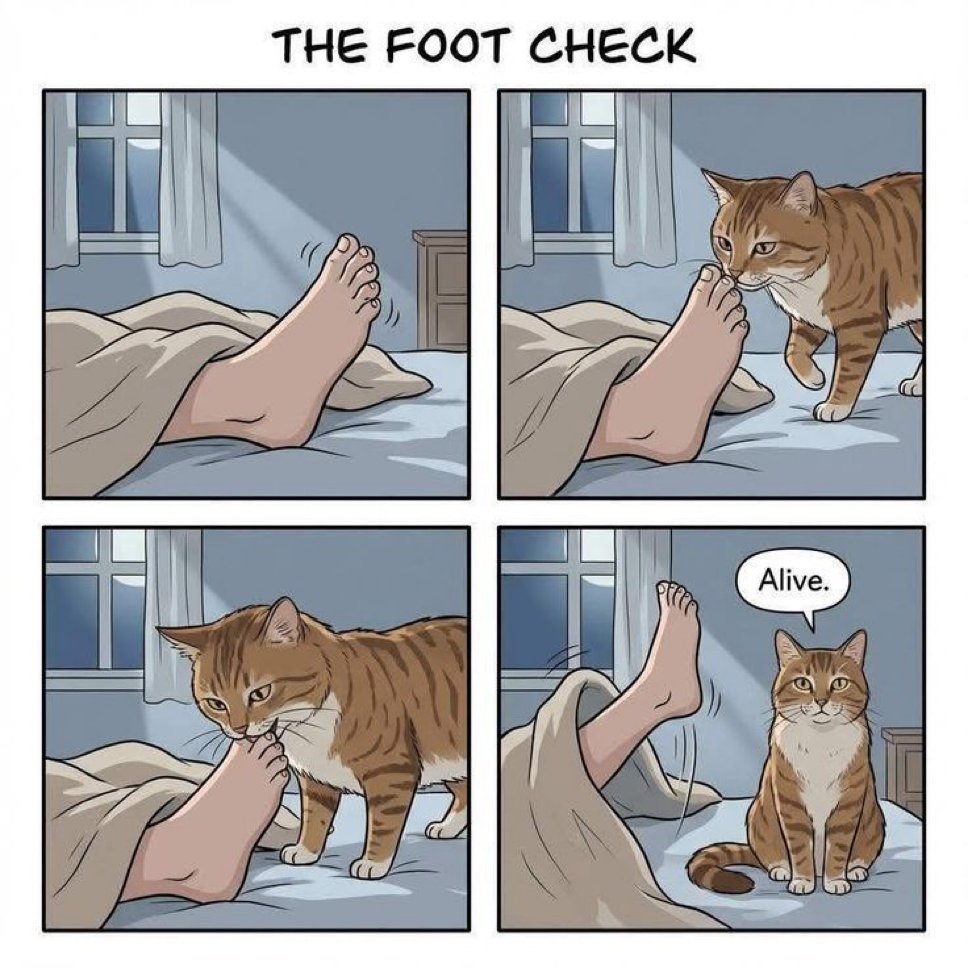 😂