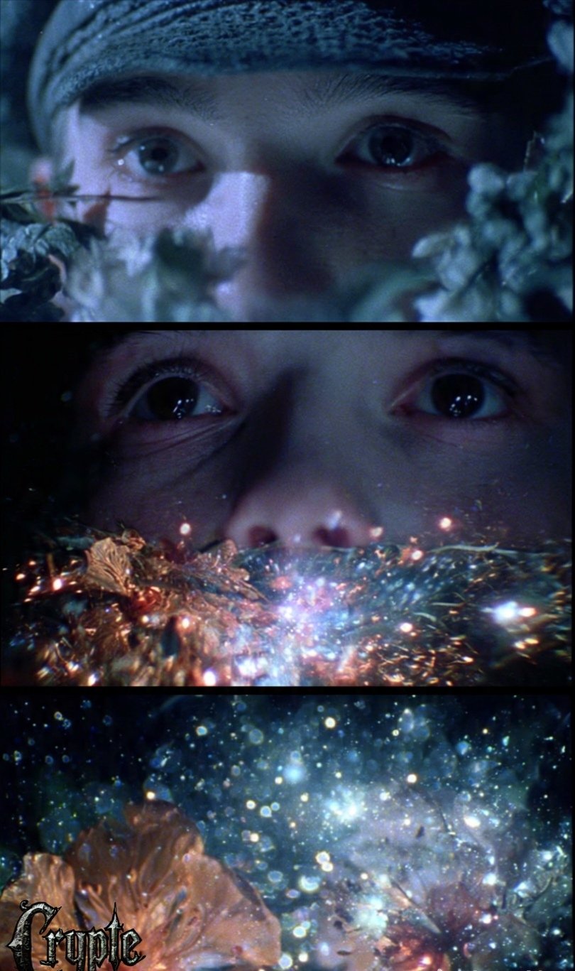 #dailyspark “The Gardener of Dead Stars”✨✨✨✨ Dear creative friends, I wish you a wonderful weekend,…
