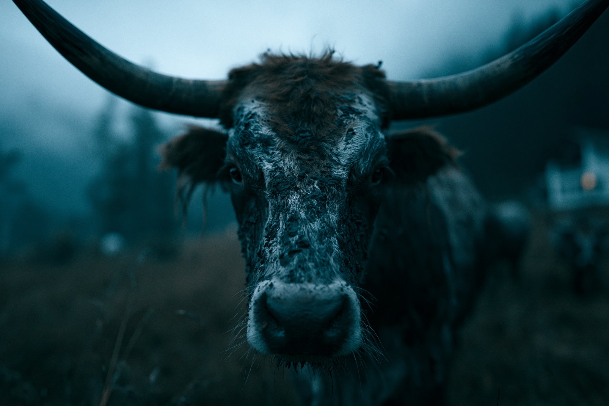 Moo 🐮