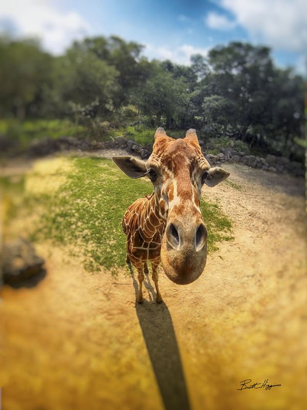 I spaced on Earth day. Shot with a GoPro at some Zoo.